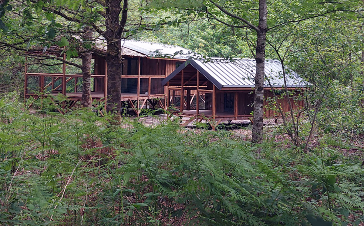 dos cabañas paupiti en medio del bosque